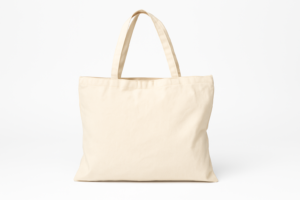 Bolso de lona horizontal